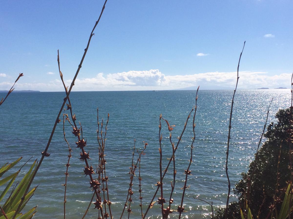 Beach Lodge Auckland Luaran gambar